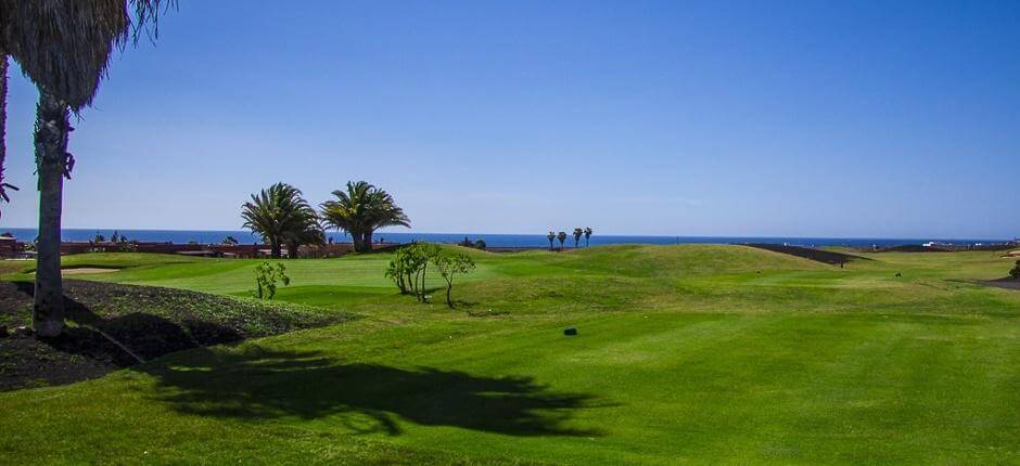 Golf Club Salinas de Antigua Terrains de golf de Fuerteventura