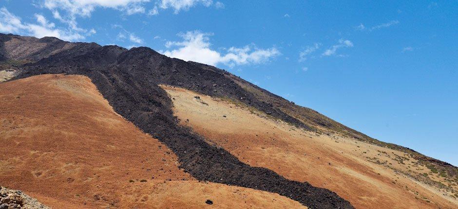 Subida al Teide + Sentiers de Tenerife