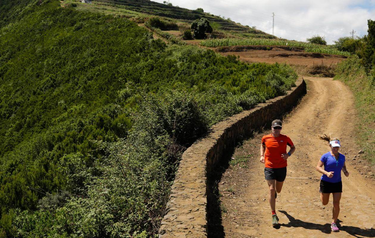 Teide - Puerto de la Cruz-Trail