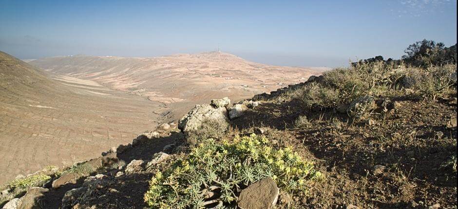 Vallebrón + Sentiers de Fuerteventura