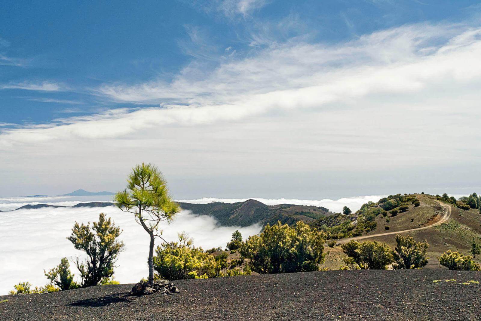 Sendero de la Virgen. El Hierro.