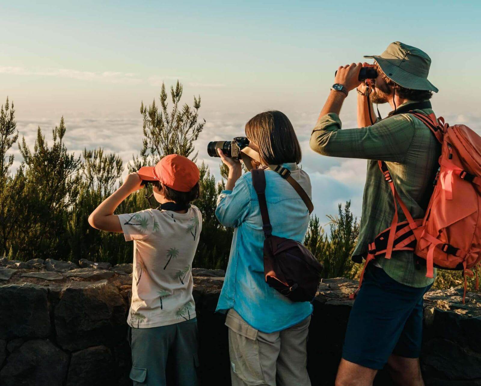 Groupe observant les oiseaux avec jumelles et appareil photo sur un belvédère entouré de pins des Canaries.