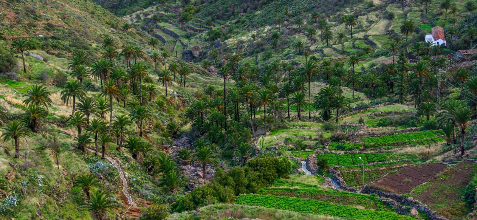 Caserío-de-Imada-La-Gomera