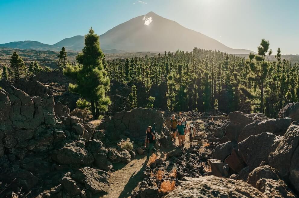 Groupe de randonnée entre roches volcaniques et pins des Canaries, avec le Teide en toile de fond, à Tenerife.