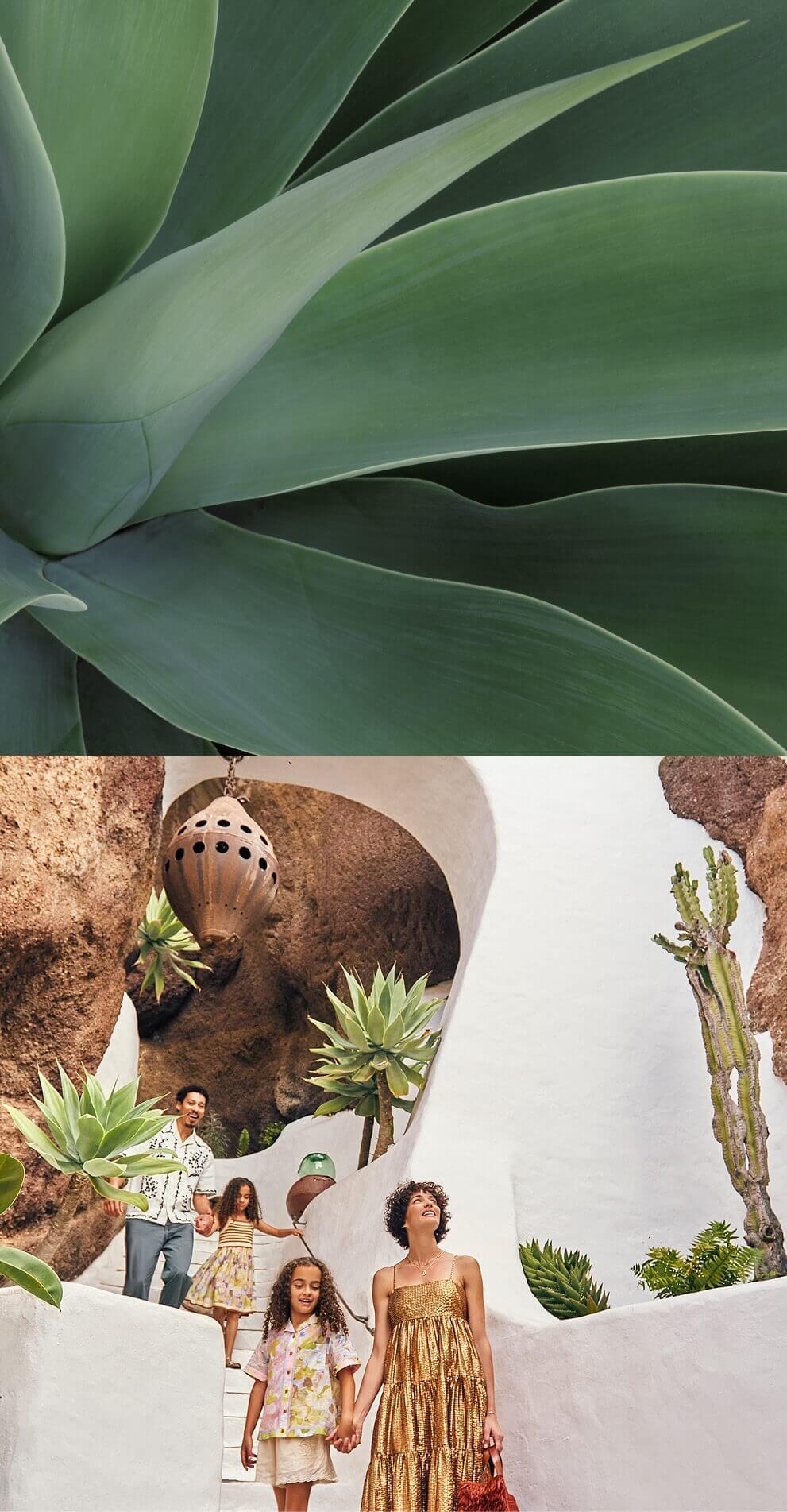 Famille en train de descendre un escalier blanc intégré dans la roche volcanique, entouré de cactus et de végétation dans un cadre au design organique.