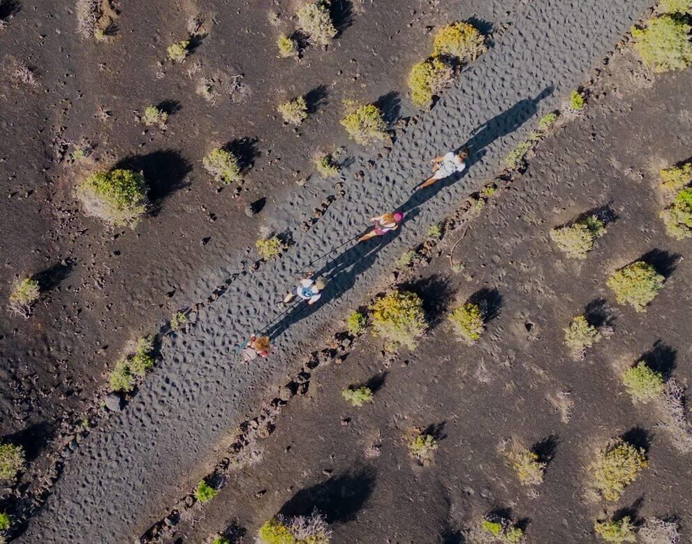 Vue aérienne d’un sentier au milieu d’un paysage volcanique à la végétation clairsemée.