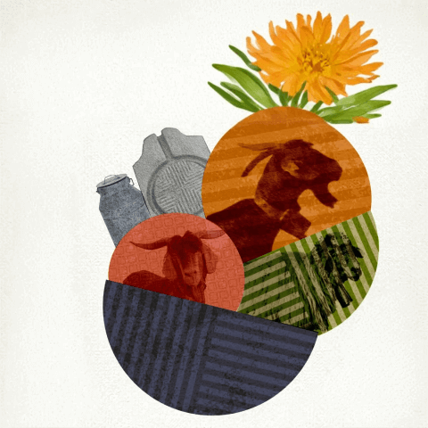concurso_insular_de_quesos
