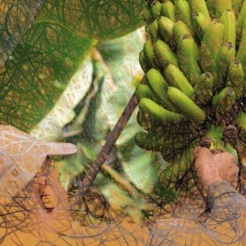iestas_patronales_de_san_juan_bautista_de_arucas_2025