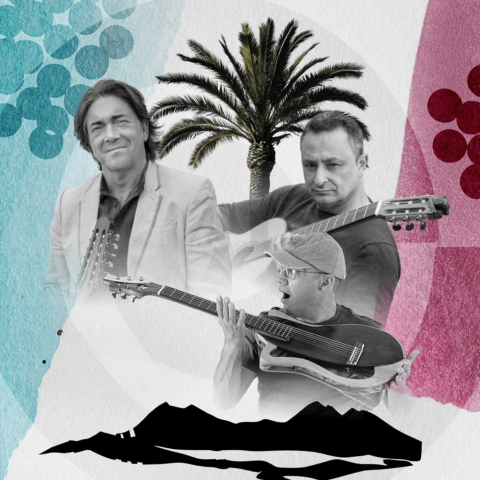 musica_cultural_el_pavon