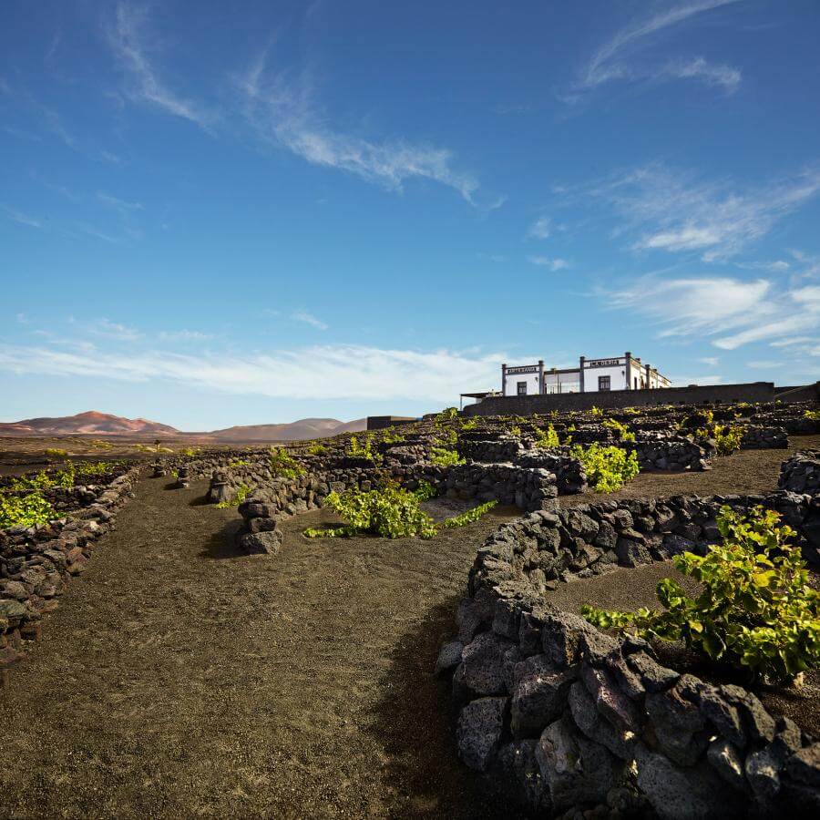 La Geria, Lanzarote.