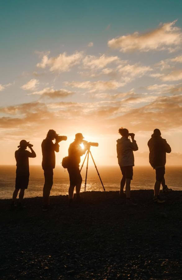 Silhouettes observant les oiseaux aux îles Canaries.