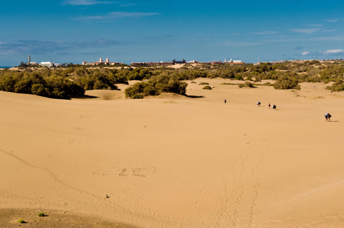 Reserva Natural Especial de las Dunas de Maspalomas, en Gran Canaria