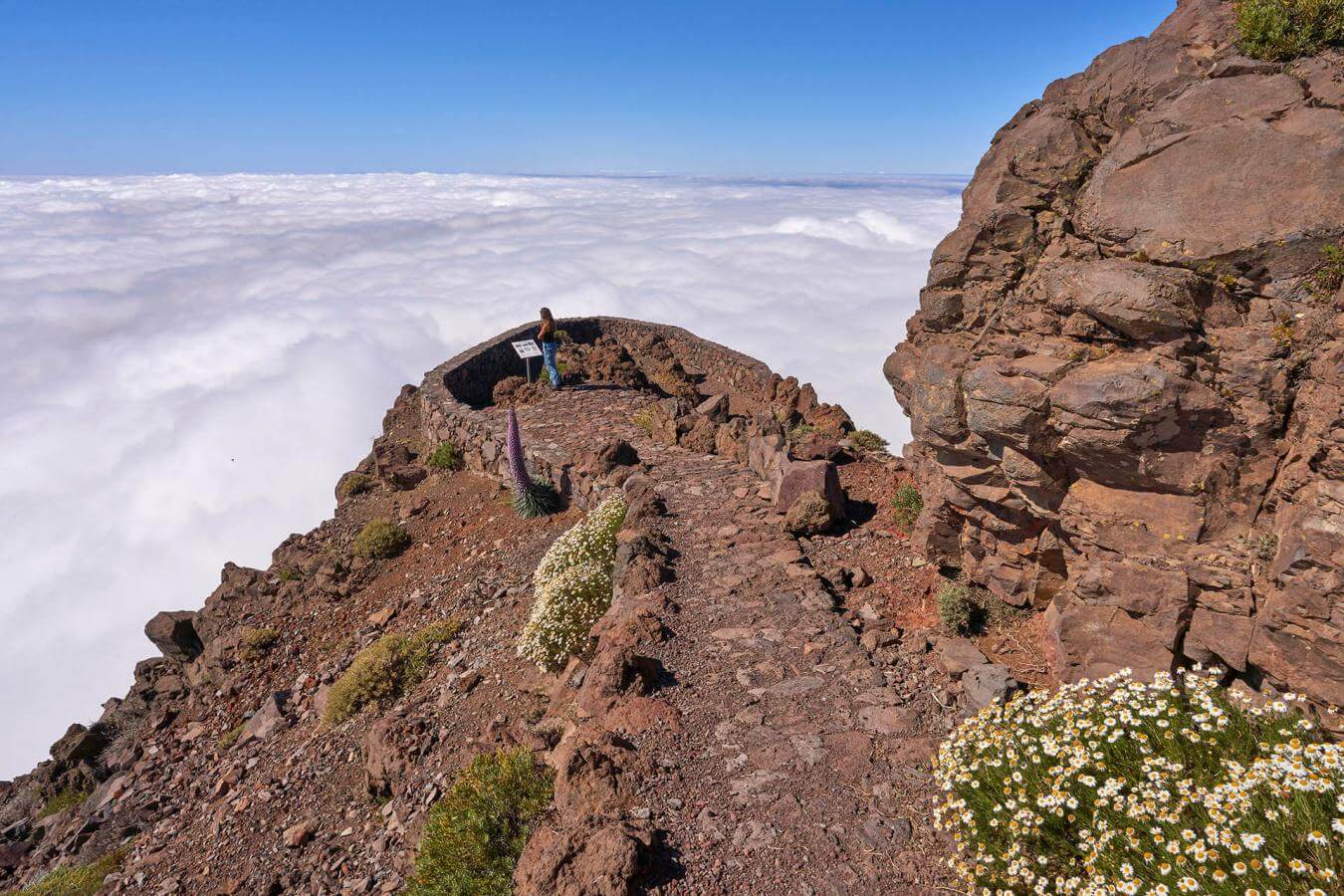 Mirador Roque de Los Muchachos - galeria1