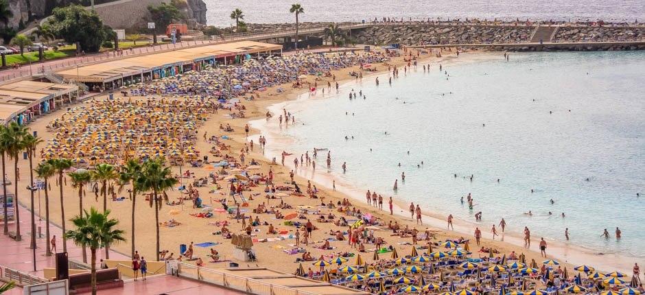 Playa de Amadores Playas populares de Gran Canaria