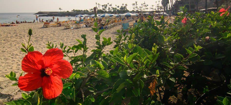 Anfi del Mar Plages pour enfants de Gran Canaria