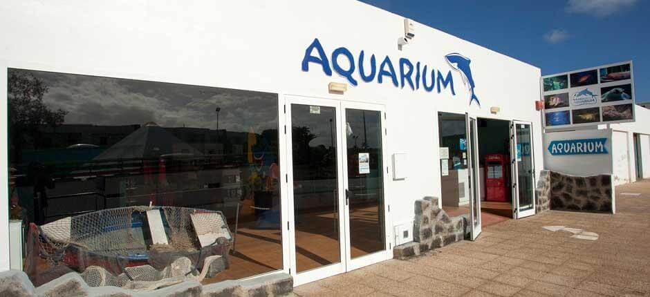 Aquarium, Aquariums de Lanzarote