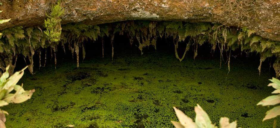 Le Garoé, à El Hierro