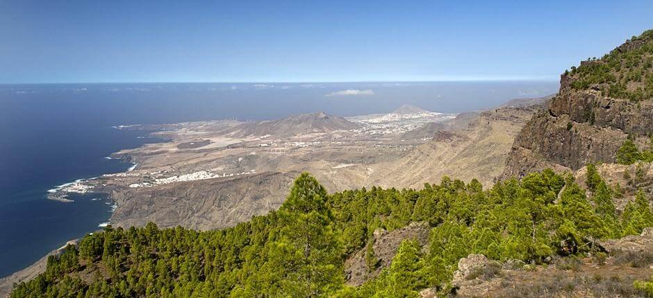 Tamadaba-Bajada de Faneque + Sentiers de Gran Canaria
