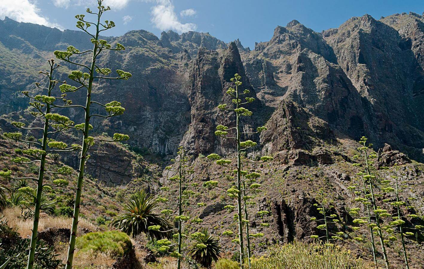 Barranco de Masca. Senderos de Tenerife