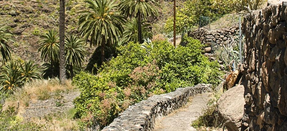 Playa Santiago-Benchijigua + Sentiers de La Gomera