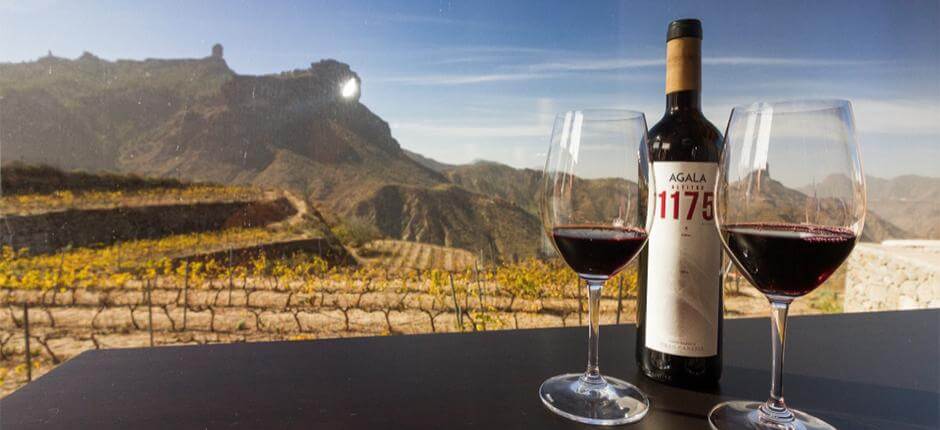 La Bodega Bentayga à Gran Canaria
