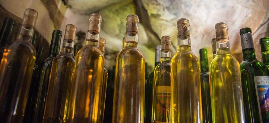 Cave à vins Los Berrazales + Caves à vins de Gran Canaria