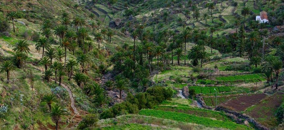 Imada hameaux de La Gomera