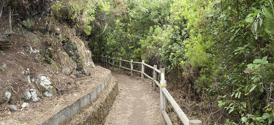 Cubo de la Galga + Sentiers de La Palma