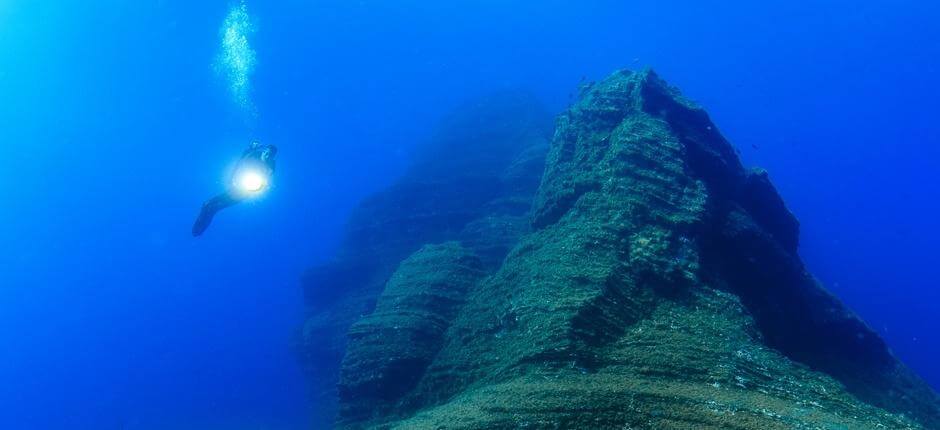 Faire de la plongée à El Bajón de El Hierro