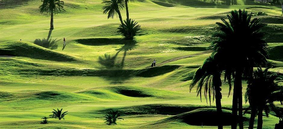 El Cortijo Club de Campo Terrains de golf de Gran Canaria