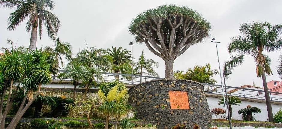 El Sauzal villages à visiter de Tenerife 