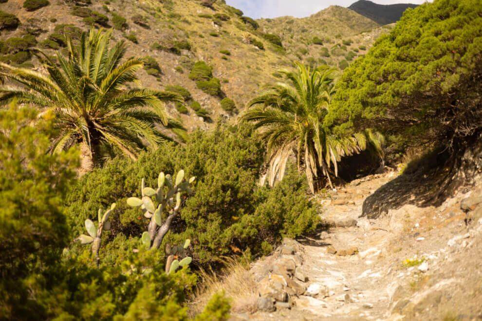 Vallehermoso sendero circular