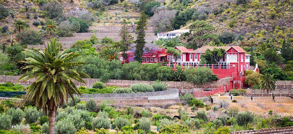 Gîte rural Las Longueras - Gîtes ruraux à Grande Canarie