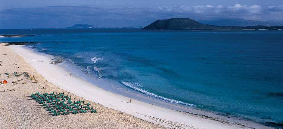 Grandes PlayaGrandes Plages de Corralejo Plages populaires de Fuerteventuras de Corralejo Playas populares de Fuerteventura