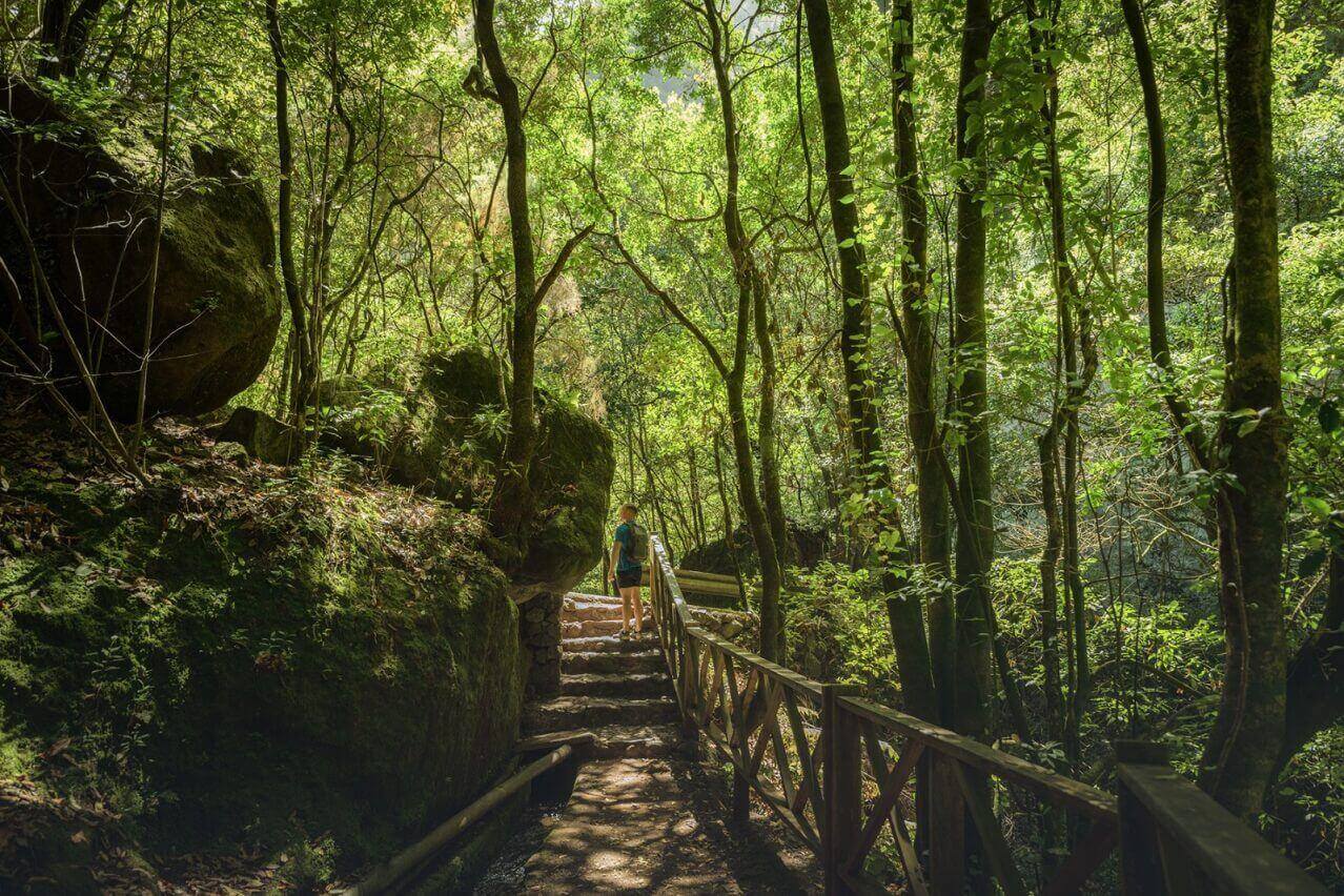 Parque Natural de Las Nieves