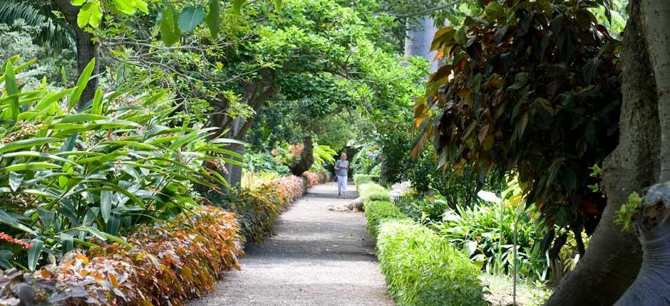 Jardin d'Acclimatation de La Orotava Musées et centres touristiques de Tenerife