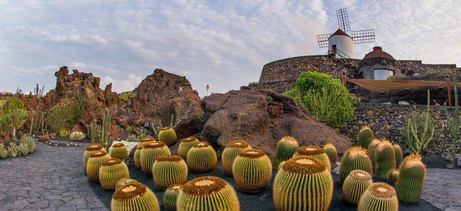 Jardin de Cactus Musées et centres touristiques de Lanzarote