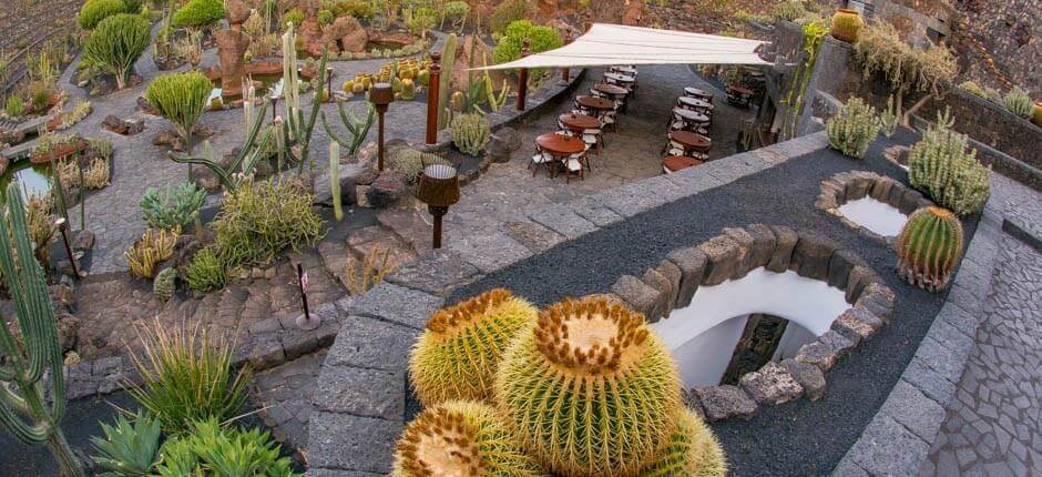 Jardin de Cactus Musées et centres touristiques de Lanzarote