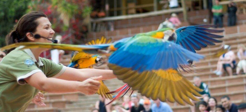 Jungle Park, Zoo de Tenerife