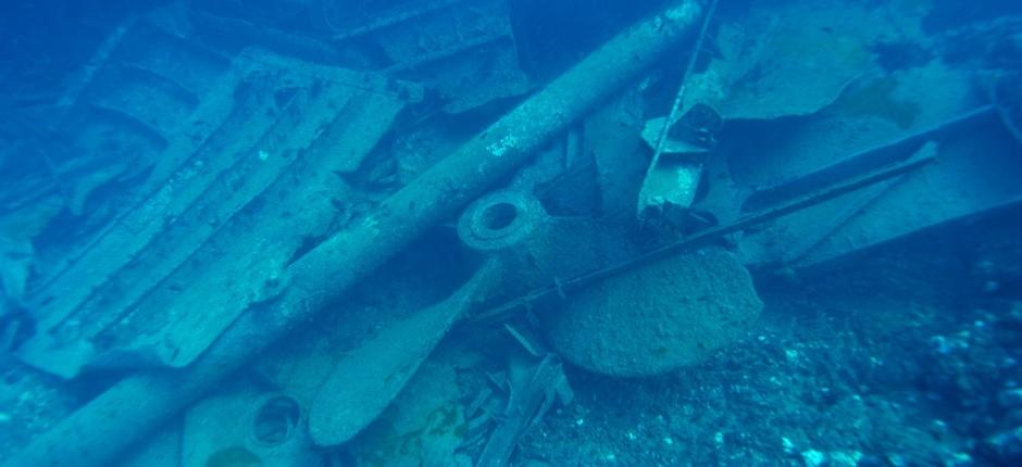 Faire de la plongée dans l’épave de ‘Kinder Island’, à Gran Canaria