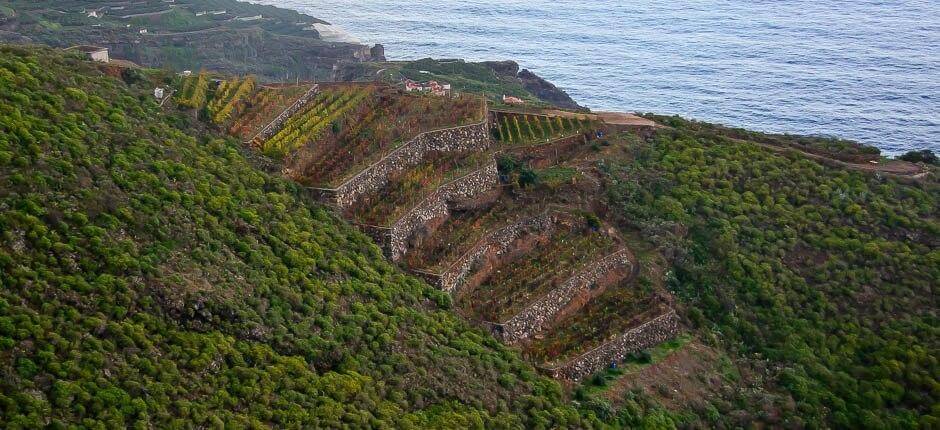 La Galga hameaux de La Palma