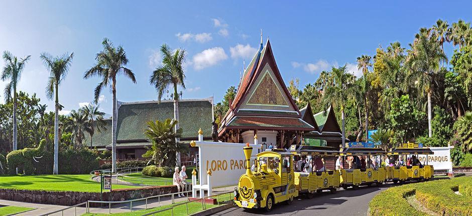 Loro Parque Zoo de Tenerife