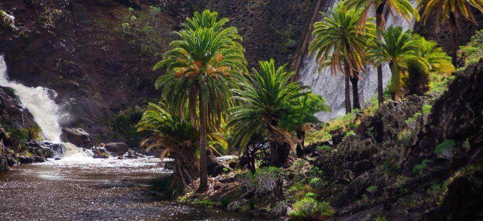 Chejelipes caseríos de La Gomera