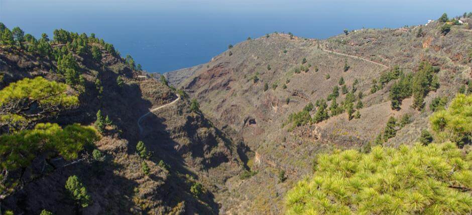 Le Mirador de Izcagua à La Palma