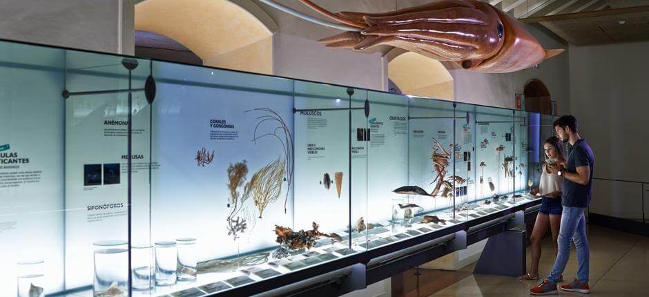 MUNA, le musée de la Nature et de l’Archéologie