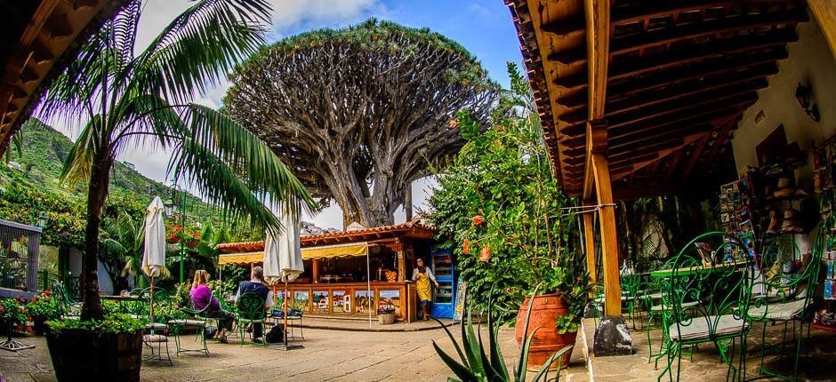 Parc du Drago Milenario Musées et centres touristiques de Tenerife