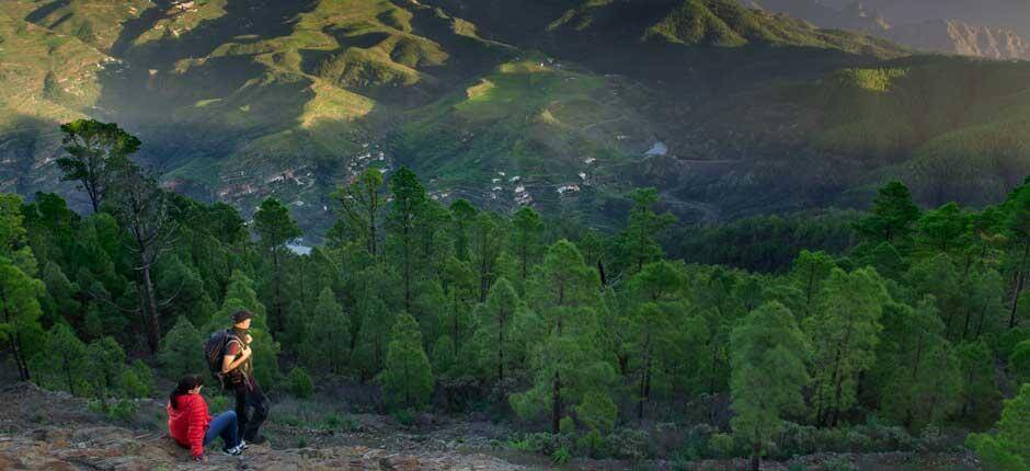 Parque Natural de Tamadaba, en Gran Canaria