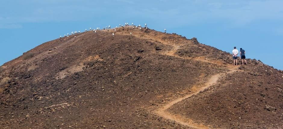 Islote de Lobos, en Fuerteventura