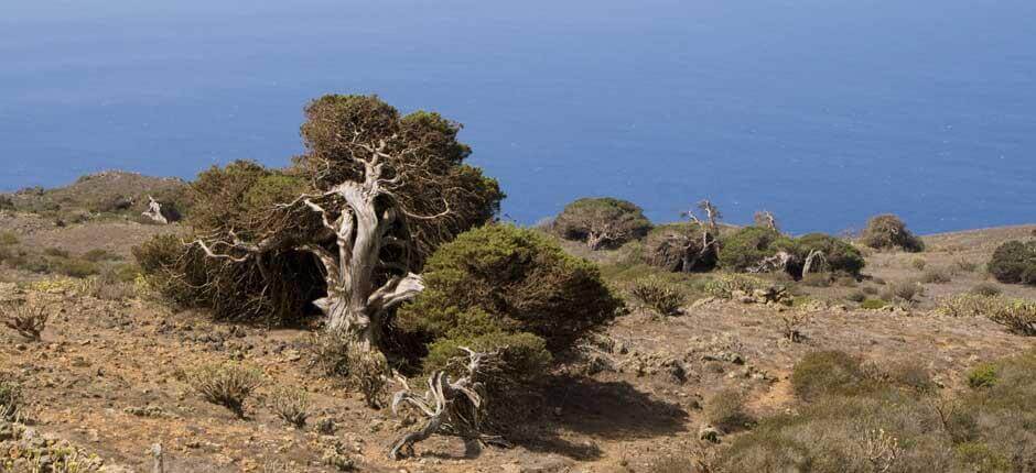 Parque Rural de Frontera, en El Hierro