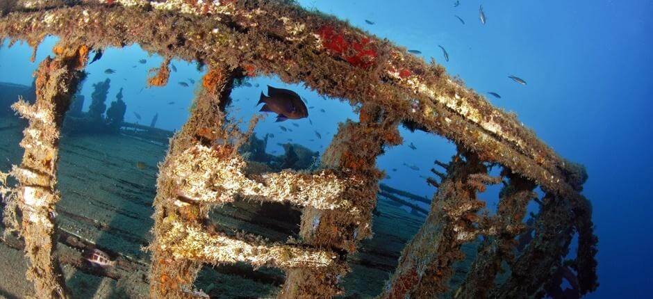 Epaves du Quíquere Plongée sous-marine à Lanzarote